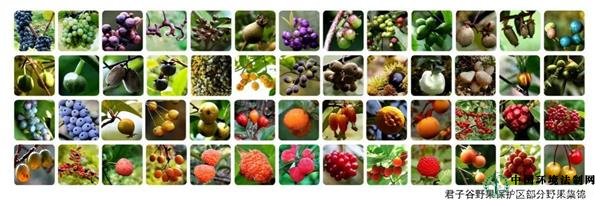 ���ӹ�����ػ��Ϸ����ȴ���������Ե�